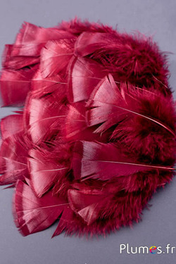 Tacchino bronzo sbiancato - 5-15 cm - bordò-caramello